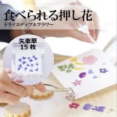 Item thumbnail for item 2d3e4d87-a2d1-4d6a-b4eb-9f92b4c20384