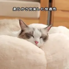 푹신하고 따뜻하게 세탁할 수 있는 고양이 침대 쿠션 펫 하우스 매트 (XL)