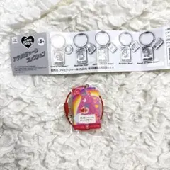 ⭐︎CareBears⭐︎ピンクアクリルチャームコレクション
