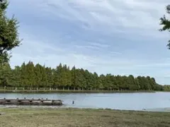 RT-138862 専用ページ