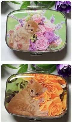 ⚠️セットSALE⚠️ハンドメイド レジン 茶トラ ピルケース