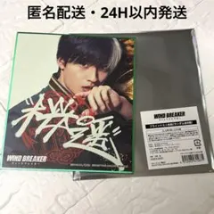 映画 WIND BREAKER ミニ色紙　桜遥 水上恒司
