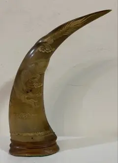 水牛の角