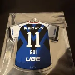 2026年最新】レノファ山口 グッズの人気アイテム - メルカリ