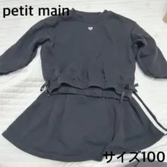 プティマインセットアップ　100
