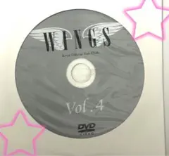 送料込み☆RoyzWINGS会報 vol.4,5DVD2枚セット