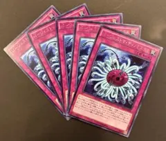 遊戯王　バージェストマ・ディノミスクス　字レア　5枚セット