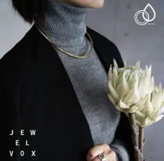 ジュエルボックス ネックレス チョーカー ゴールド シルバー 2点セット