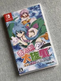 Switch 雪ん娘 大旋風 さゆきとこゆきのひえひえ大騒動