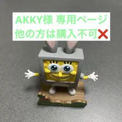 AKKY様専用ページ