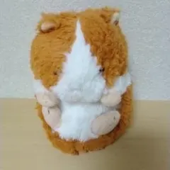 Sunlemonのサムネイル