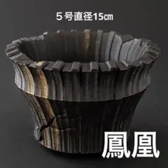 羅生〜鳳凰〜 4号直径12㎝ 3dプリンター鉢 作家鉢 アガベ - メルカリ