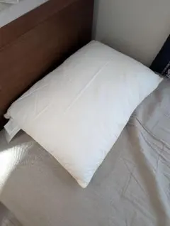 Item thumbnail for item 8d19abd9-f661-494a-b74f-8ceaa0ae6ff6