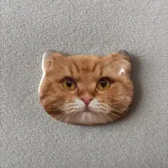 2025年最新】ねこにゃんの人気アイテム - メルカリ