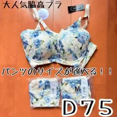 [ブラセット]すっきり綺麗に見せる 脇高ブラ　D75