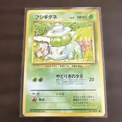 美品　ポケモン　旧裏　フシギダネ