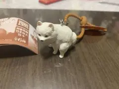 ふんばりーぬ ポメラニアン 犬 ガチャガチャ