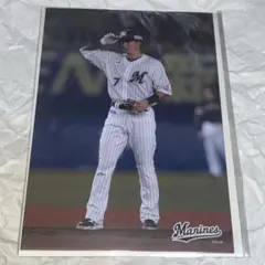 千葉ロッテマリーンズ chibalotte 藤岡裕大 ラッフルくじ 10連特典