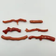 国産 天然 本珊瑚 ルース まとめ 13.2g 枝珊瑚 赤珊瑚 さんご 大10