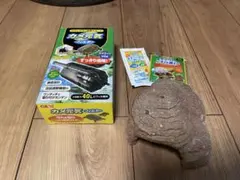 Item thumbnail for item 1f99048e-8a17-433e-8bfd-dced76913ff7