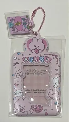 【匿名発送】チェゴシム フォトキーホルダー トレカケース うさぎゴシム