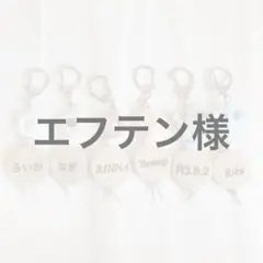 エフテン様専用ページ