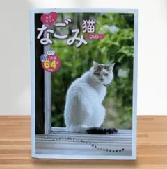 Item thumbnail for item 50f6dceb-bcf8-4d06-a42d-46bf7cfaaa21