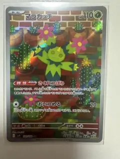 マラカッチAR No.1