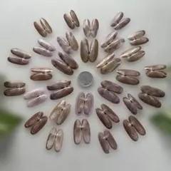 ミゾガイ　30個