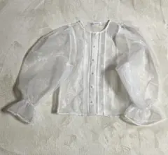 シースルー　パフスリーブトップス