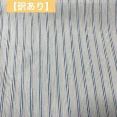 【訳あり品】はぎれ　ガーゼ生地　白×青ダブルストライプ