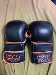 パウンドグローブ ボクシング