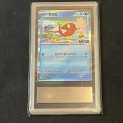 韓国限定】ポケモン メガフェスタ コイキングプロモカード 未開封 5枚