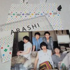 嵐 ARASHIC Cool&Soul アラシック ツアーバッグ クリアファイル