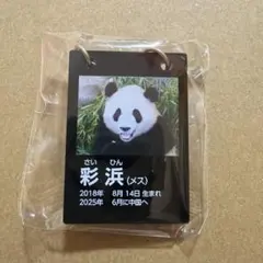 2026年最新】彩浜の人気アイテム - メルカリ