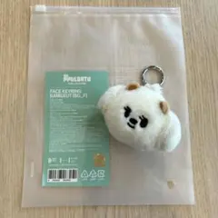 TXT PPULBATU バムグッ ボムギュ まとめ売り 2026年最新】txt プルバトゥ バムグッの人気アイテム - メルカリ