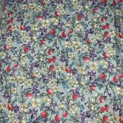 YUWA いちご 生地 有輪