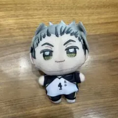 ハイキュー‼︎ ぬいぷりけmini 木兎光太郞　プライズ　マスコット