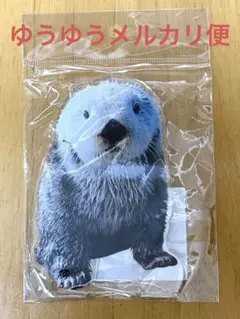 未使用】メイちゃんのウォールポケット 鳥羽水族館 くじ - メルカリ