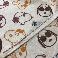 トレーナー生地
