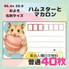 【ハムスターとマカロン】40枚　宛名シール　ラベル　差出人　普通サイズ