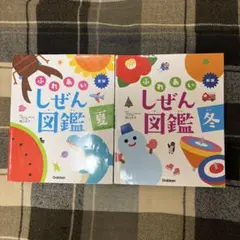 かしゅう12様 リクエスト 2点 まとめ商品