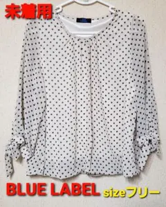 未着用 美品 BLUE LABEL 袖シアー♡ドット柄ふんわりカットソー