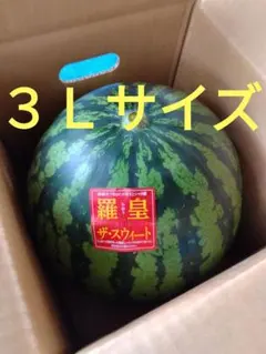 山形県産、尾花沢スイカ３Ｌサイズ１個のサムネイル