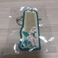 忘れてください　ヨルシカ　一人称