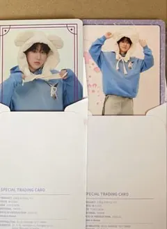 Stray Kids ペンミ スペシャルトレーディングカード チャンビン