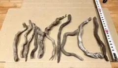 ハ*ル様 タケノコ(ネマガリダケ、姫竹)皮むき機【手動・丸洗い可
