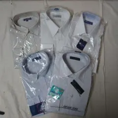 Item thumbnail for item 43a2d39d-50d2-4097-a846-86f129556db6