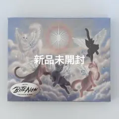meovv bite now アルバム 新品未開封