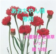 あおちやん様 リクエスト 5点 まとめ商品